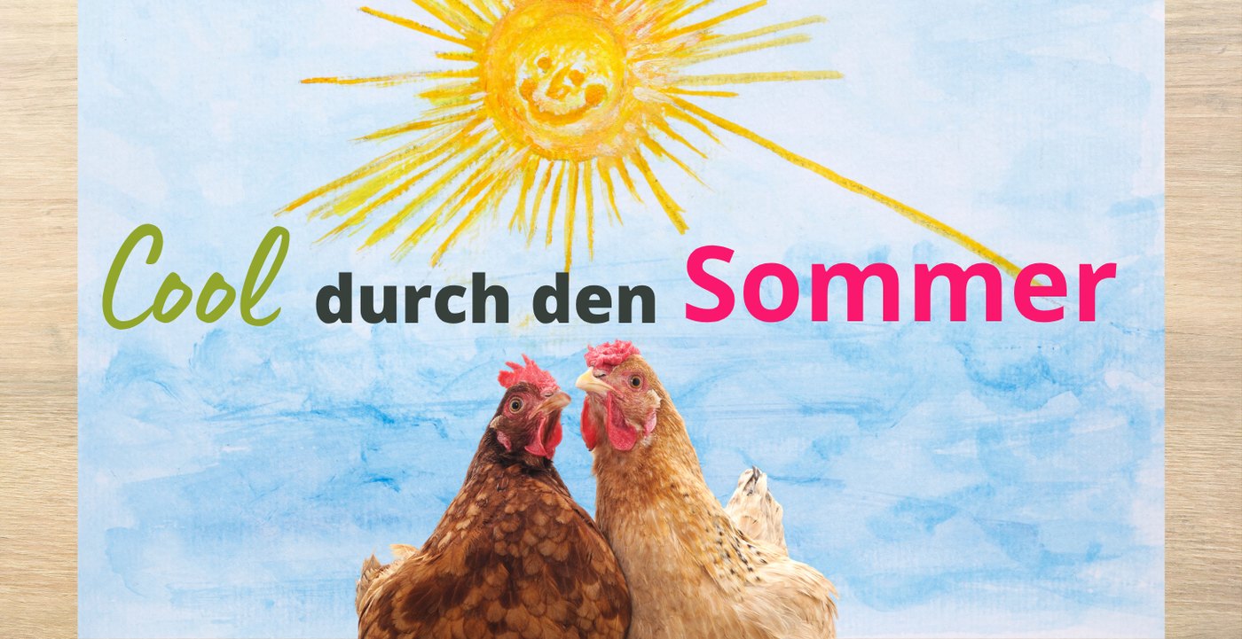 Mit Hühnern cool durch den Sommer – Kurs-Cover mit zwei Hühnern unter der Sonne